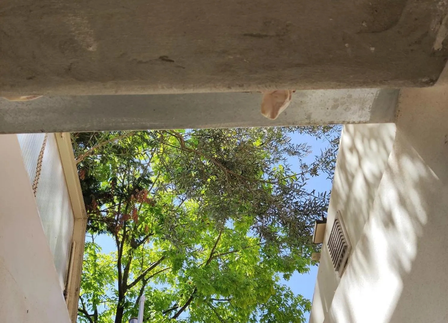 La Tana Di Topolino Apartment Imola 0*,