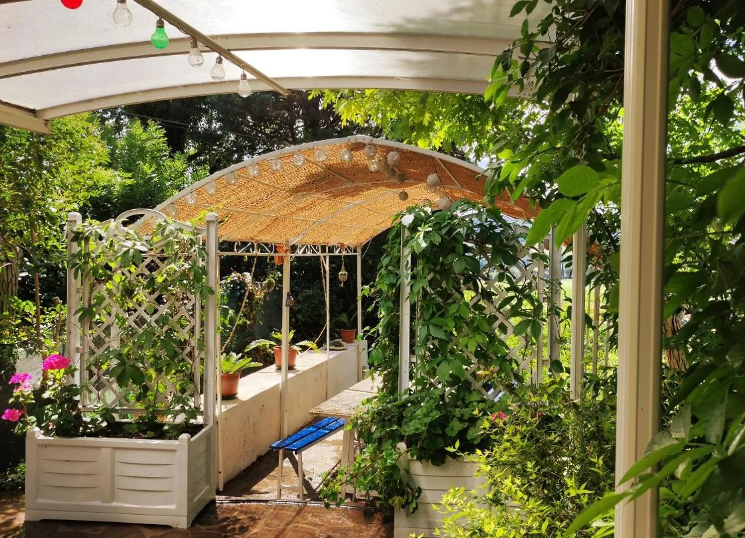 La Tana Di Topolino Appartement Imola